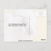 サンガクールラスのテディベア ポストカード (裏面)