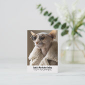 サンガスタイリッシュラスとシェルパコートのスフィンクス猫 名刺 (スタンド正面)