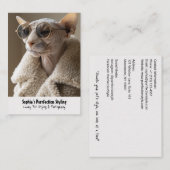 サンガスタイリッシュラスとシェルパコートのスフィンクス猫 名刺 (正面/裏面)