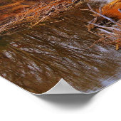 サンガモン川リンカーンのニューサレム近く，イリノイ ポスター (角)