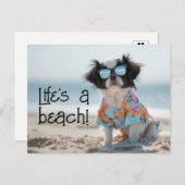 サンガ日本のラスを着たチンパピー ポストカード (正面/裏面)