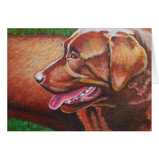 サンキスチョコレートラブラドールレトリバー (正面横)