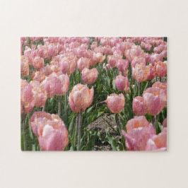 サンキス・ピンク・チューリップ ジグソーパズル