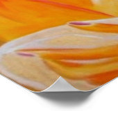 サンキス，ポスター，オレンジ，人生，礼拝，キムバ ポスター (角)