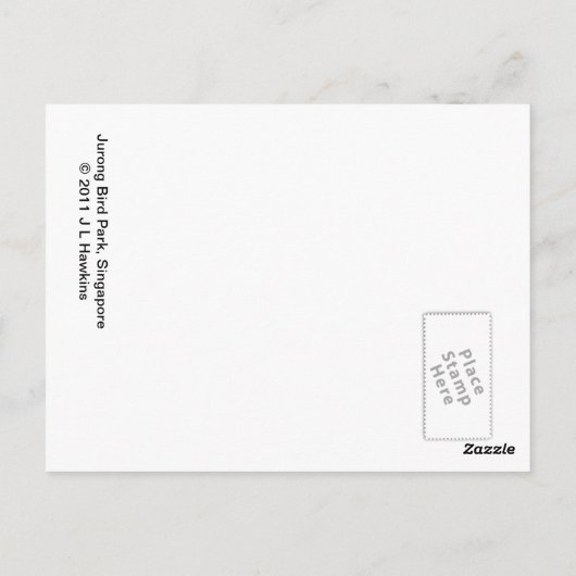 サンキュア鳥 ポストカード (裏面)