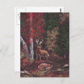 サンキュタリーのはがき ポストカード (正面/裏面)