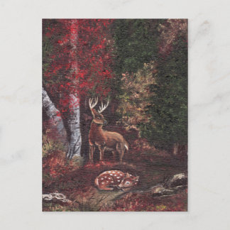 サンキュタリーのはがき ポストカード