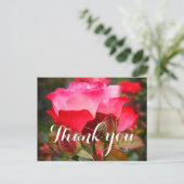 サンキューさくらんぼパフェバラ#1-2はがき ポストカード (スタンド正面)