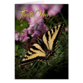 サンキューアゲハチョウバタフライピンクサマーフローラ (正面)