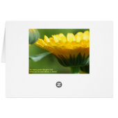 サンキューカレンデュラガーデン (裏面横)