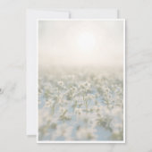 サンキューカードに散在する小さな白い花 サンキューカード (裏面)