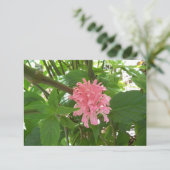 サンキューカードのピンクのブラジルの羽毛の花 サンキューカード (スタンド正面)