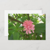 サンキューカードのピンクのブラジルの羽毛の花 サンキューカード (正面/裏面)