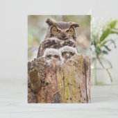 サンキューカードのフクロウ サンキューカード (スタンド正面)