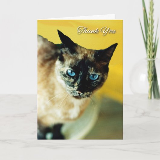 サンキューカードの色が斑入り サンキューカード (正面)