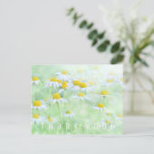 サンキューカードデイジーの分野 ポストカード (スタンド正面)