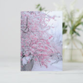 サンキューカードデコール自然 サンキューカード (スタンド正面)