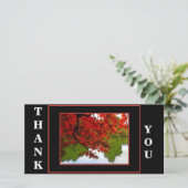 サンキューカードパック10 – 秋の風景 サンキューカード (スタンド正面)