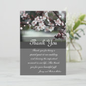 サンキューカード梅 サンキューカード (スタンド正面)