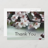サンキューカード梅 ポストカード (正面/裏面)