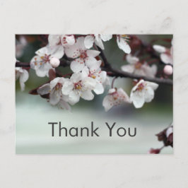 サンキューカード梅 ポストカード