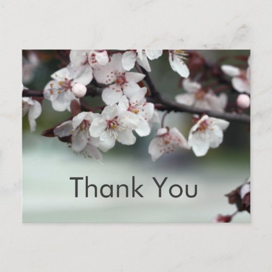 サンキューカード梅 ポストカード (正面)