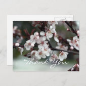 サンキューカード梅 ポストカード (正面/裏面)