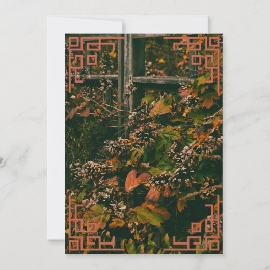 サンキューカード秋葉 サンキューカード (正面)