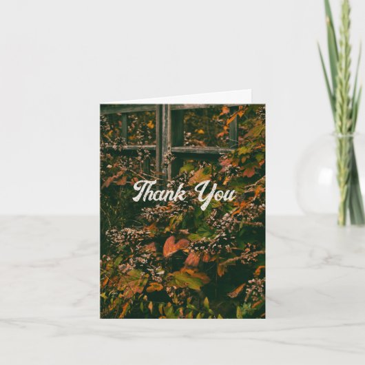 サンキューカード紅葉 サンキューカード (正面)