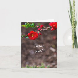 サンキューカード緋色 サンキューカード