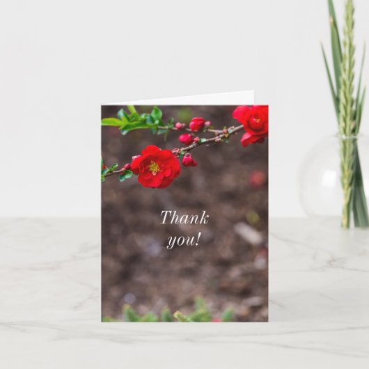 サンキューカード緋色 サンキューカード (正面)