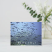 サンキューカード魚の群れ水中でダイビング。 ポストカード (スタンド正面)