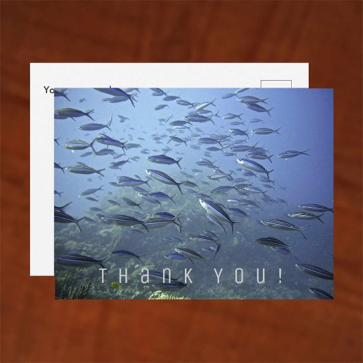 サンキューカード魚の群れ水中でダイビング。 ポストカード