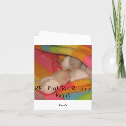 サンキューカード (裏面)