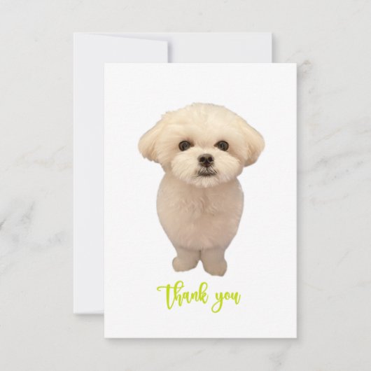 サンキューカード (正面)