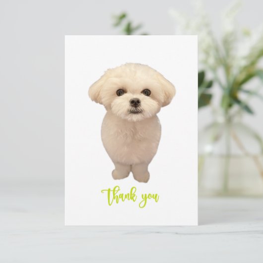 サンキューカード (スタンド正面)