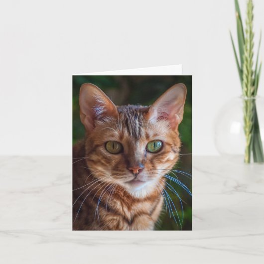 サンキューカード (正面)