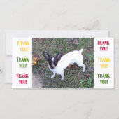 サンキューカード (正面)