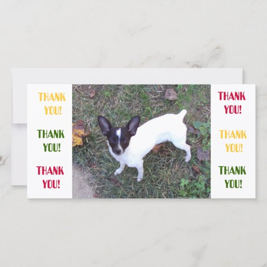 サンキューカード (正面)