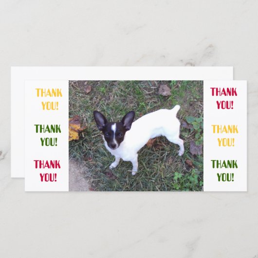 サンキューカード (正面/裏面)