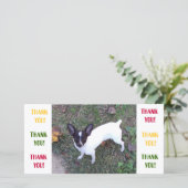 サンキューカード (スタンド正面)