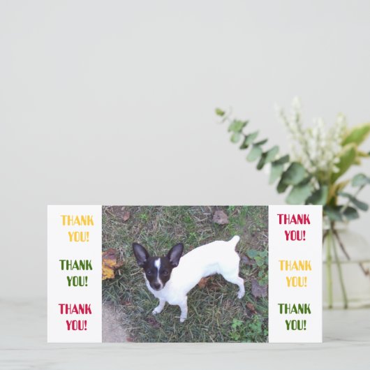 サンキューカード (スタンド正面)