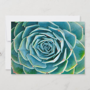  サンキューカード