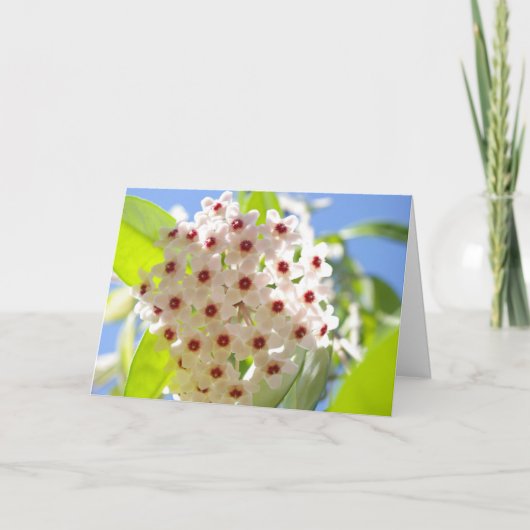 サンキューカード (正面)