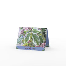 サンキューカード