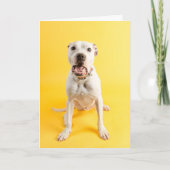 サンキューカード カード (正面)