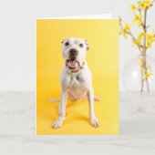 サンキューカード カード (黄色い花)