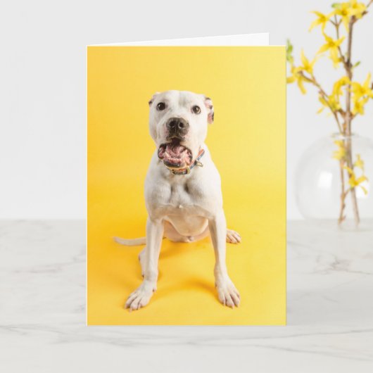 サンキューカード カード (黄色い花)