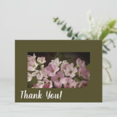 サンキューカード シーズンカード (スタンド正面)