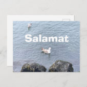 サンキューカード(フィリピン) ポストカード (正面/裏面)